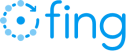 Fing